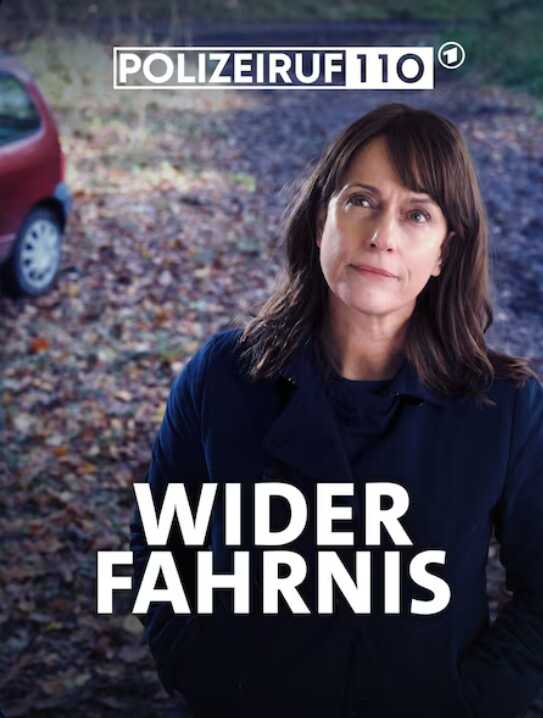 Polizeiruf 110 - Widerfahrnis